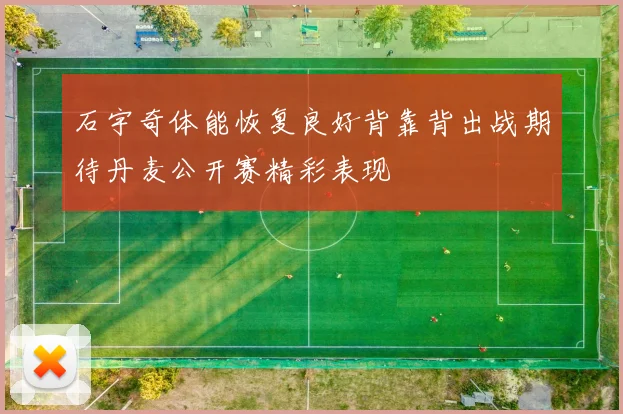 石宇奇体能恢复良好背靠背出战期待丹麦公开赛精彩表现