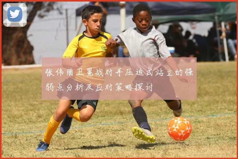 张伟丽卫冕战对手压迫式站立的强弱点分析及应对策略探讨